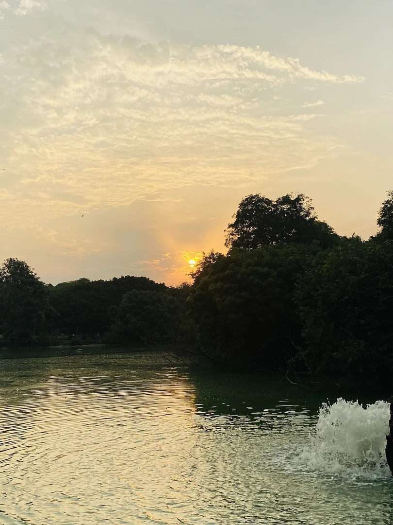 दिल्ली के पार्क का शांत शाम का दृश्य